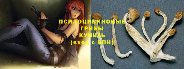 дмт Арсеньев