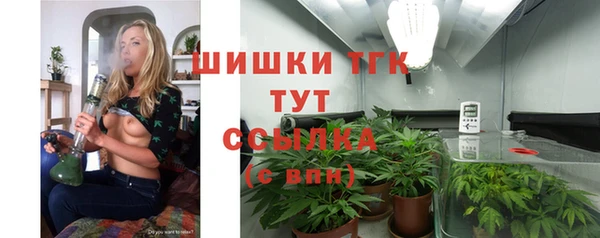 дмт Арсеньев