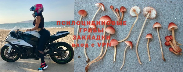 амф Аркадак