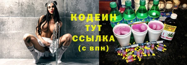 дмт Арсеньев